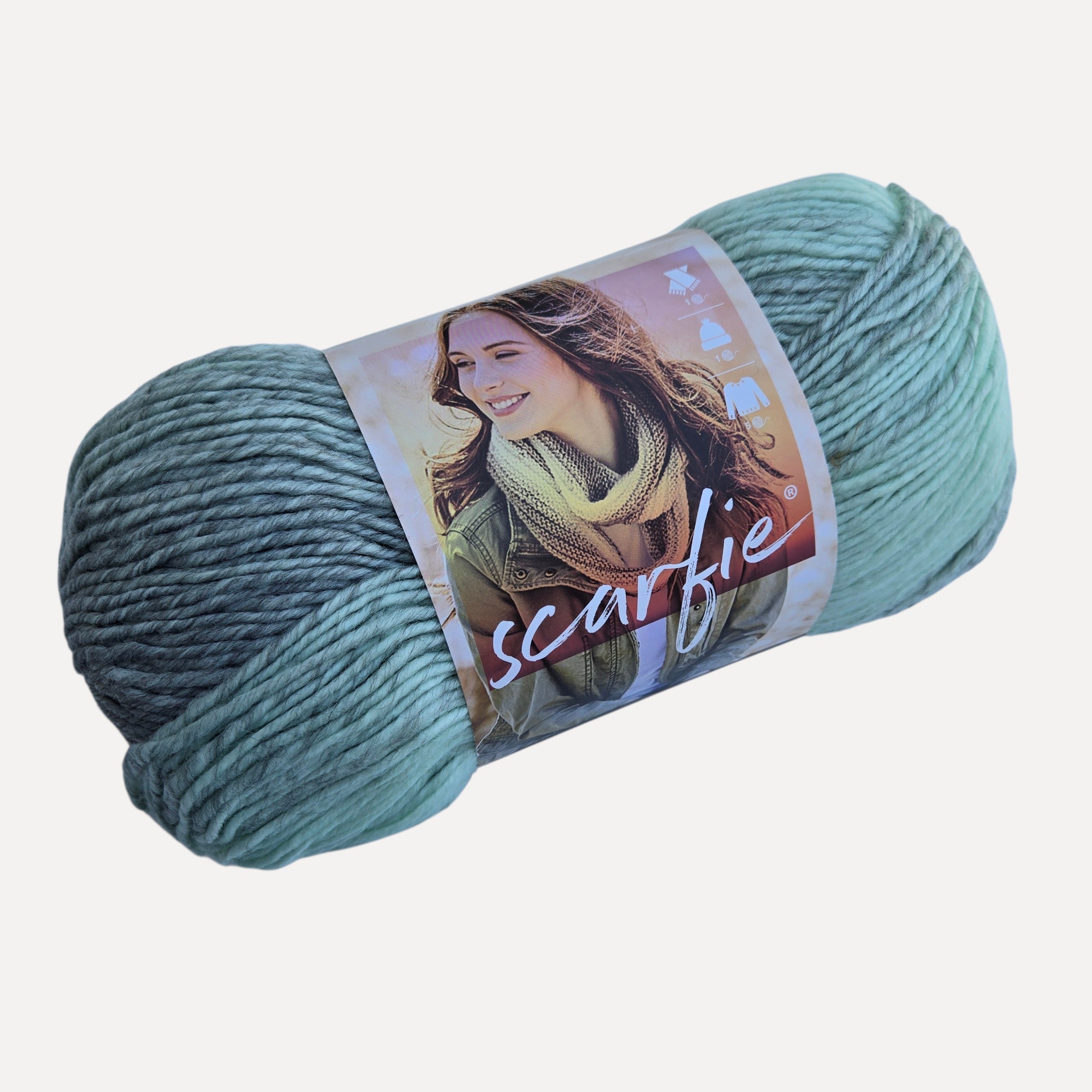 Lion Brand Scarfie Yarn Soft Ombré Wool Blend